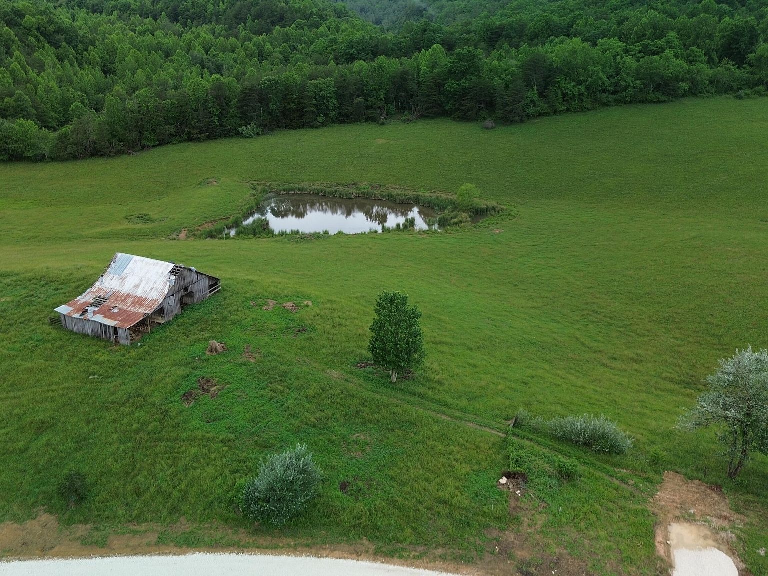 4135 Big Andy Rdg Tract 2 Rogers, KY 41365 - Thumbnail 3