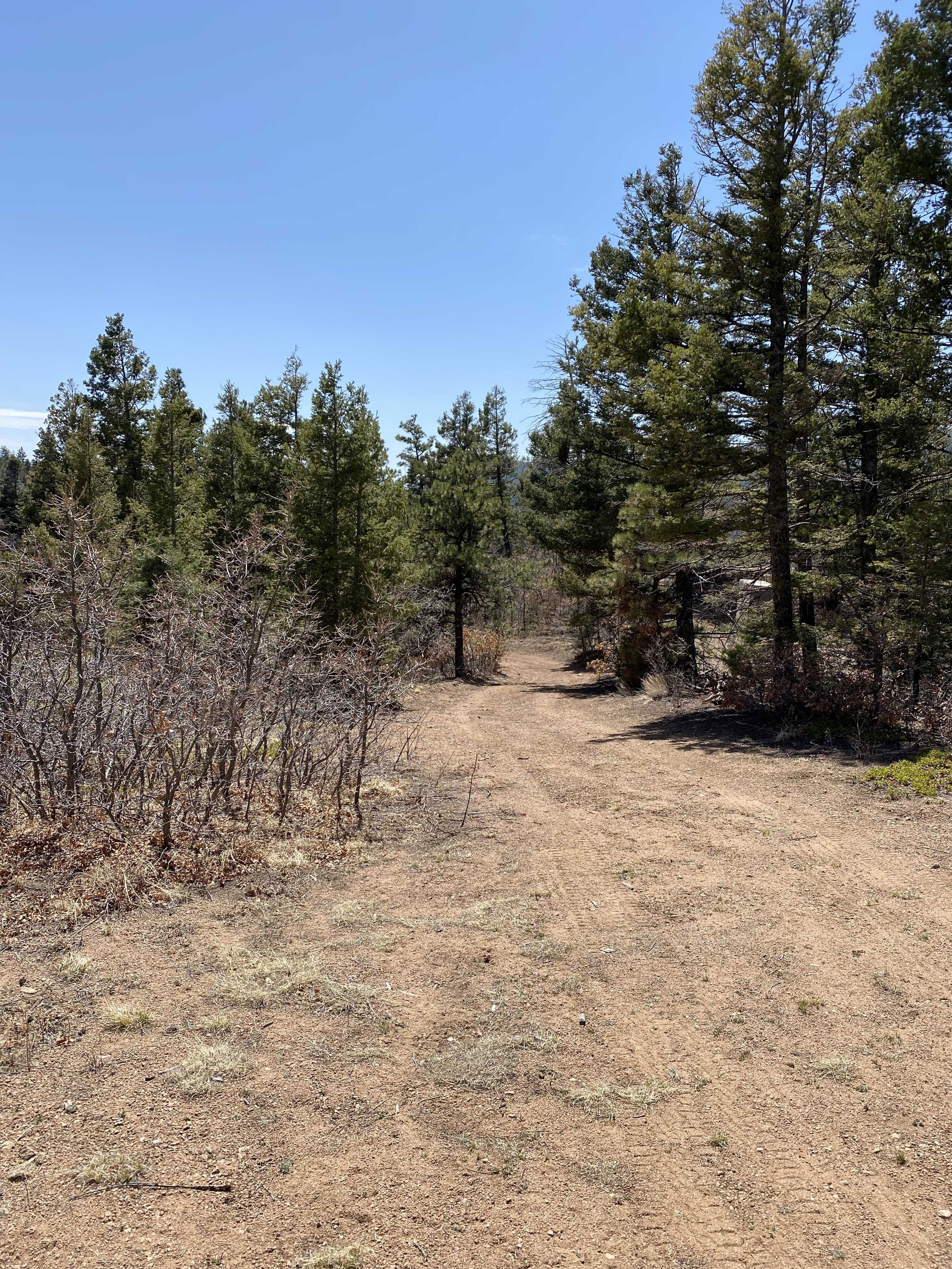 5448 Little Turkey Creek Rd, Colorado Springs, CO, USA, 80926 - Thumbnail 3