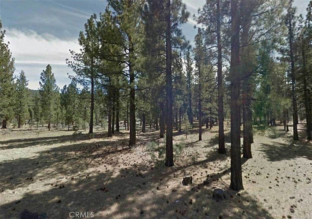 LOT 59th Ave E Big Bear City, CA 92314 - Thumbnail 3