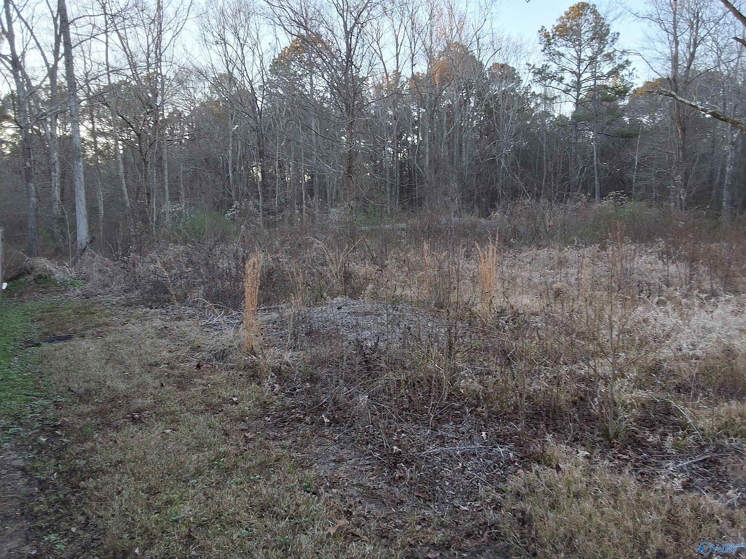 Euclid Rd Gadsden, AL 35903 - Thumbnail 3