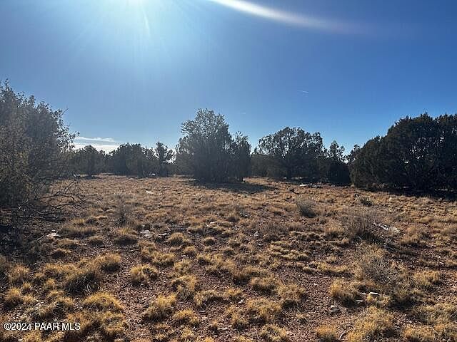 234N W Brothers Rd Seligman, AZ 86337 - Thumbnail 3