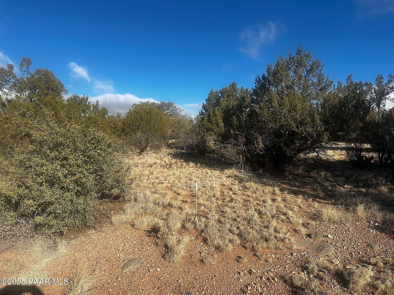 32292 W Ancho Rd Seligman, AZ 86337 - Thumbnail 3