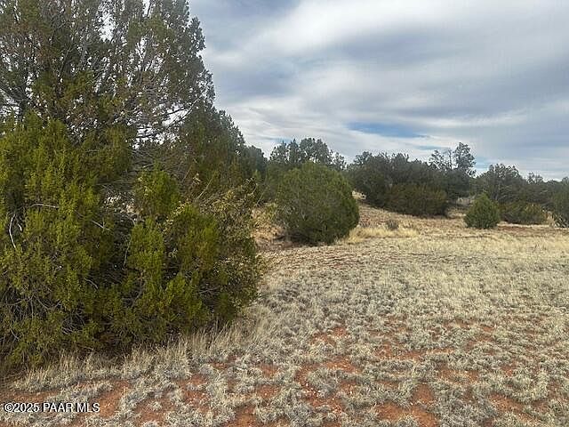 LOT-382N E Gable Rd Seligman, AZ 86337 - Thumbnail 3