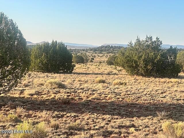 349N E Rocky Top Rd Seligman, AZ 86337 - Thumbnail 3