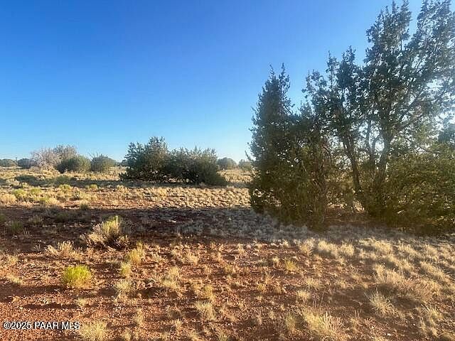 349S W Rocky Top Rd Seligman, AZ 86337 - Thumbnail 3