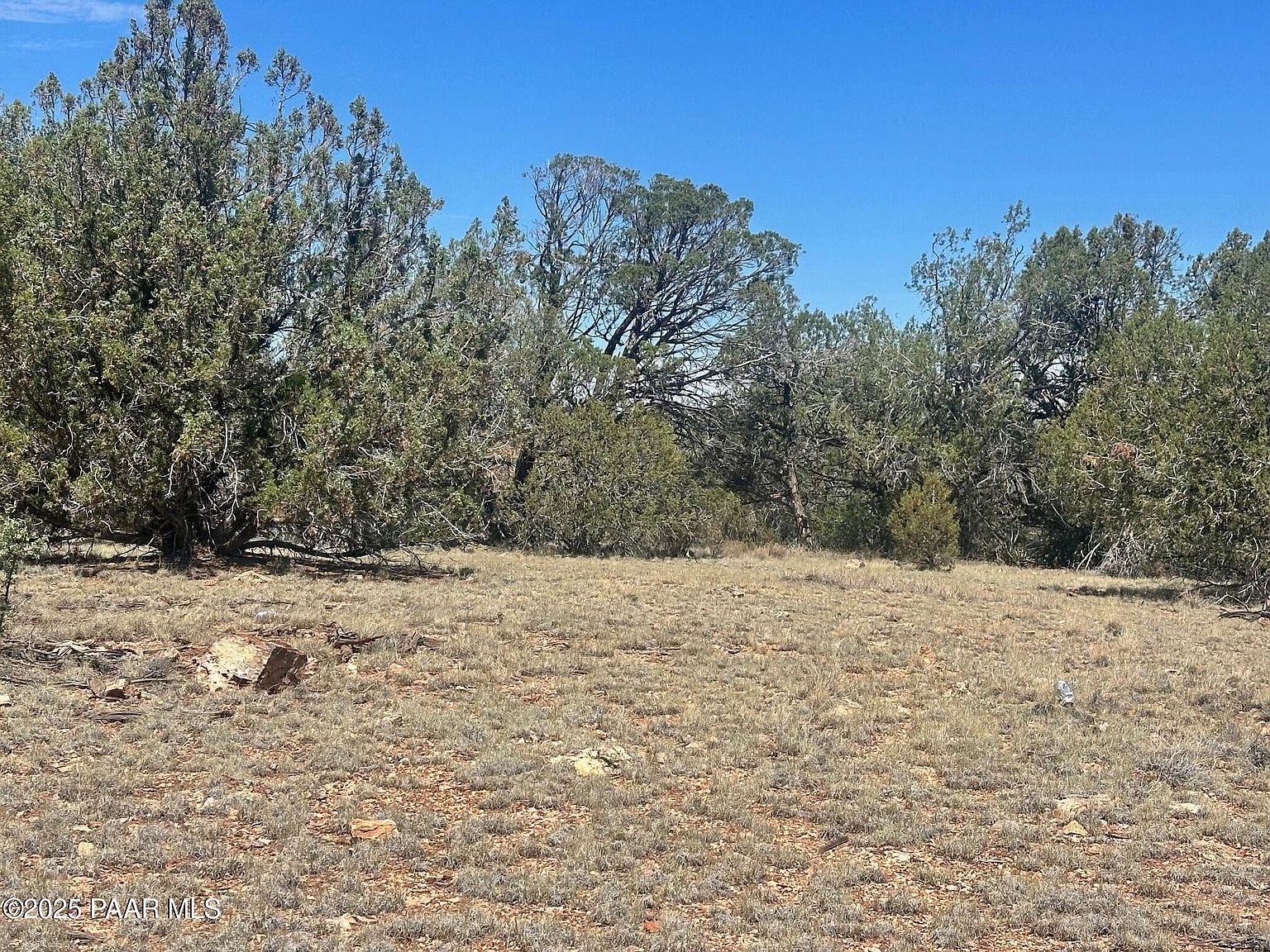 32970 W Forest Ln Seligman, AZ 86337 - Thumbnail 3