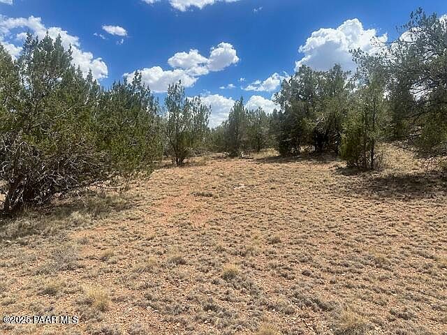 51739 Cisne Cir Seligman, AZ 86337 - Thumbnail 3