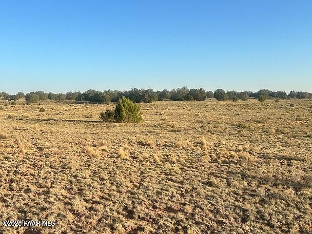 349S E Rocky Top Rd Seligman, AZ 86337 - Thumbnail 3