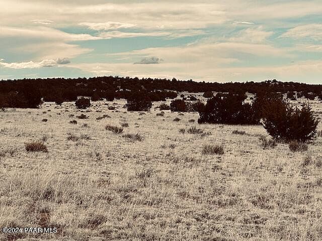 424N W Deliverance Rd Seligman, AZ 86337 - Thumbnail 3