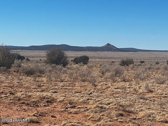 0 SW Double Back Dr Seligman, AZ 86337 - Thumbnail 3