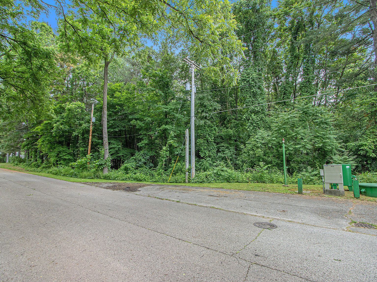 171 Thomas St Allegan, MI 49010 - Thumbnail 3