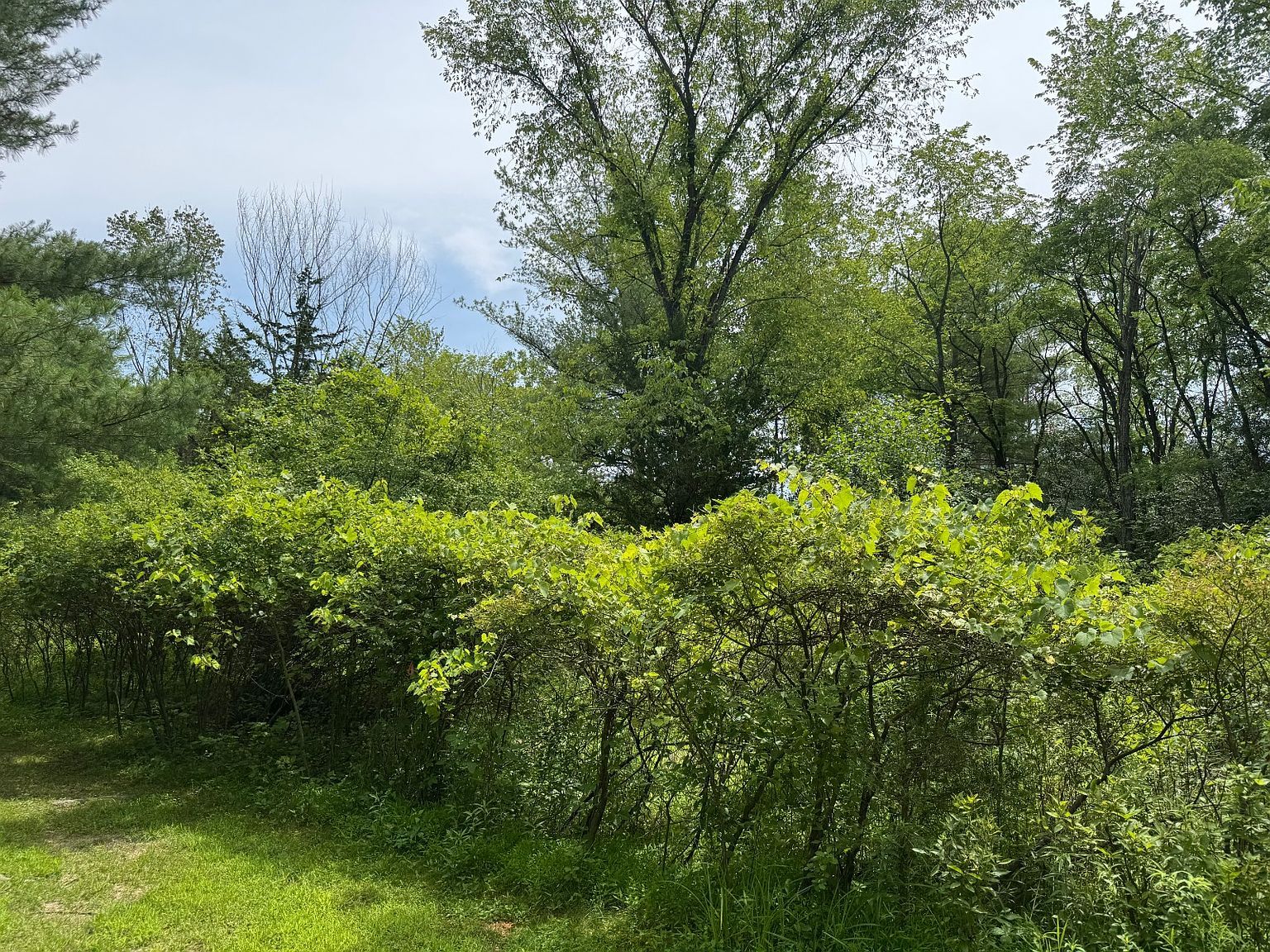 34 Gunpowder Dr Athens, NY 12015 - Thumbnail 3