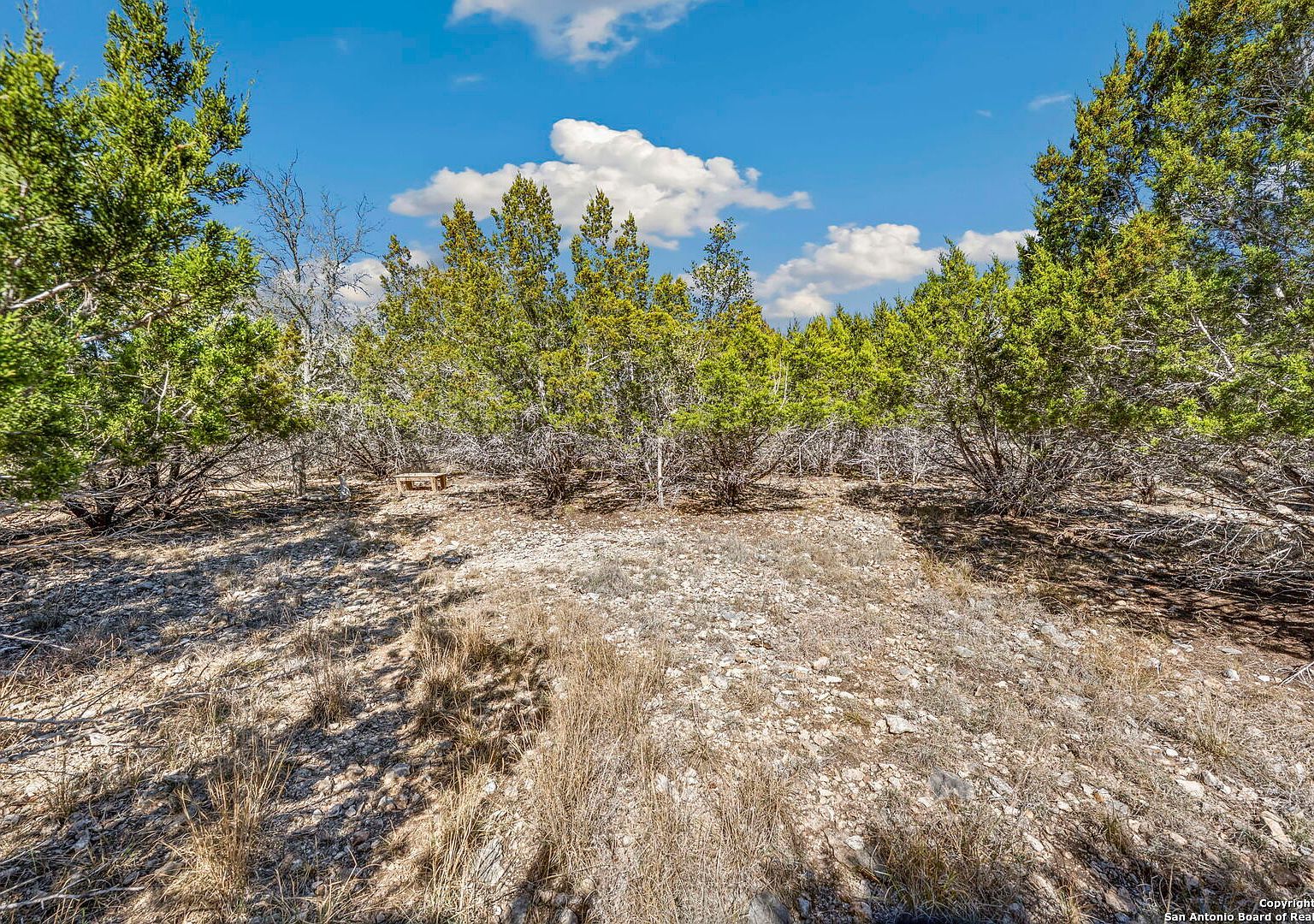 7810 Ramble Rdg #161 San Antonio, TX 78266 - Thumbnail 3