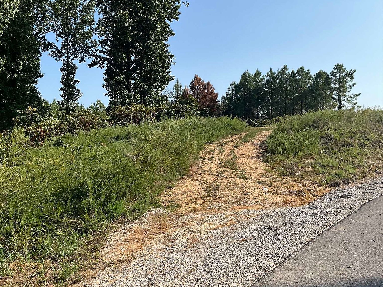 344 Wellington Rdg Cherokee, AL 35616 - Thumbnail 3