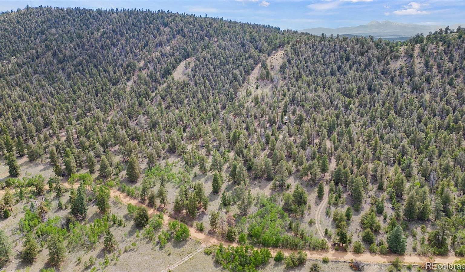 1833 Fitzsimmons Dr Hartsel, CO 80449 - Thumbnail 3