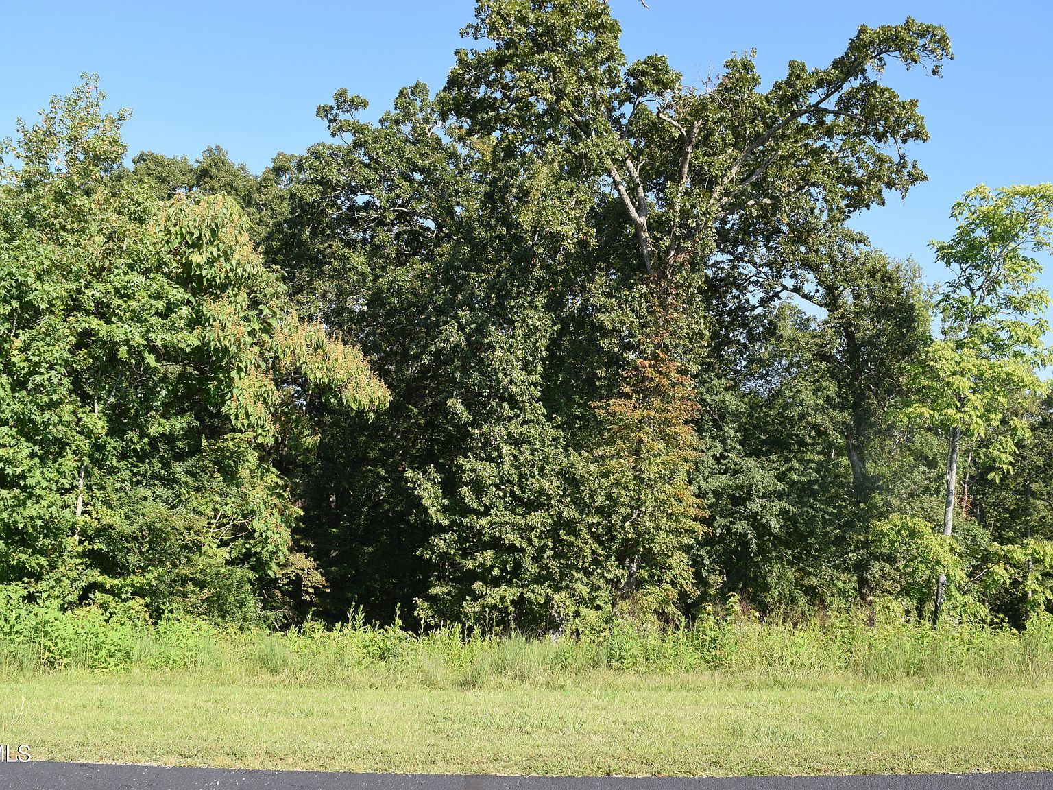 347 Water View Dr Rockwood, TN 37854 - Thumbnail 3