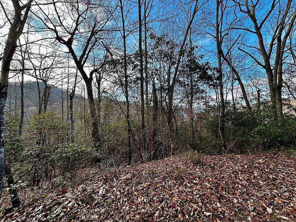 47 N Nickajack Rd Franklin, NC 28734 - Thumbnail 3