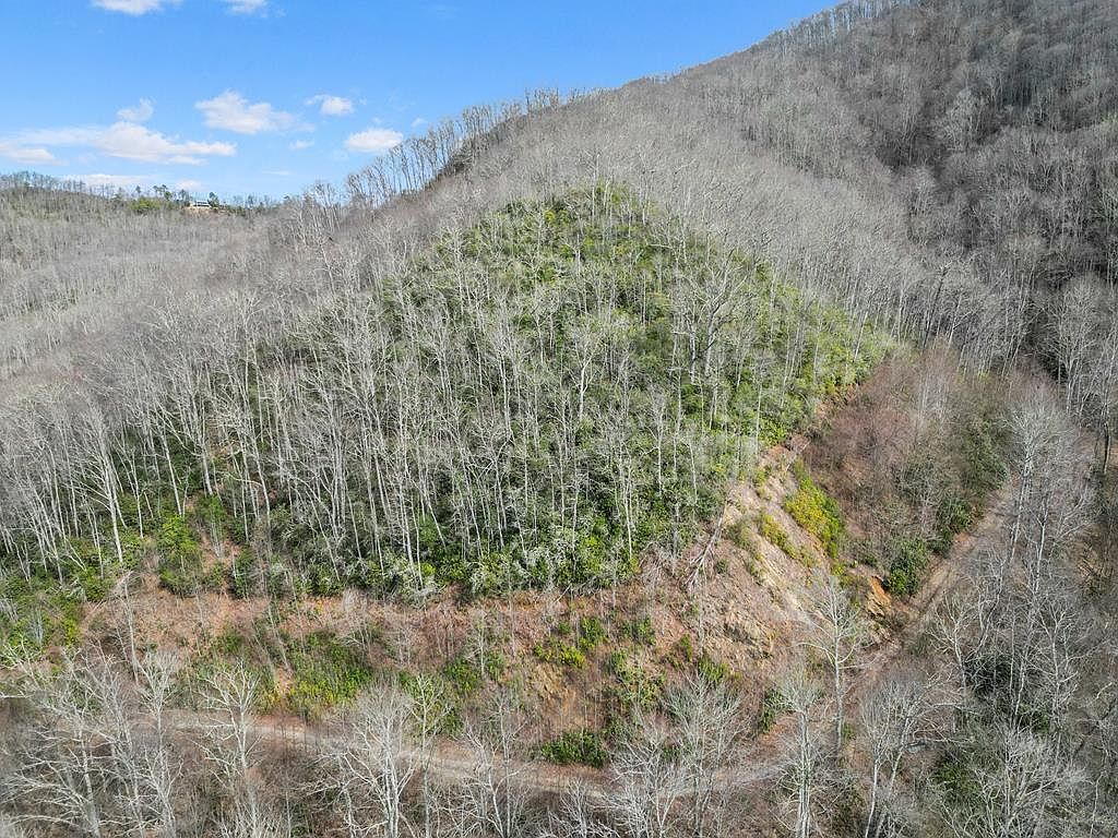 1824 Black Rock Rd Maggie Valley, NC 28751 - Thumbnail 3