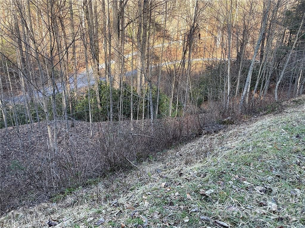 LOT 38 Brush Creek Mountain Rd Bryson City, NC 28713 - Thumbnail 3
