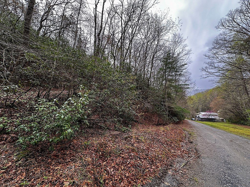 3 Tara Hls Whittier, NC 28789 - Thumbnail 3