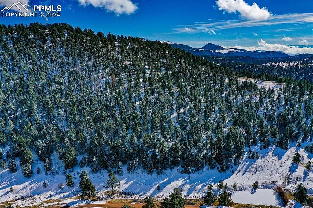 278 Penrose Cir Florissant, CO 80816 - Thumbnail 3