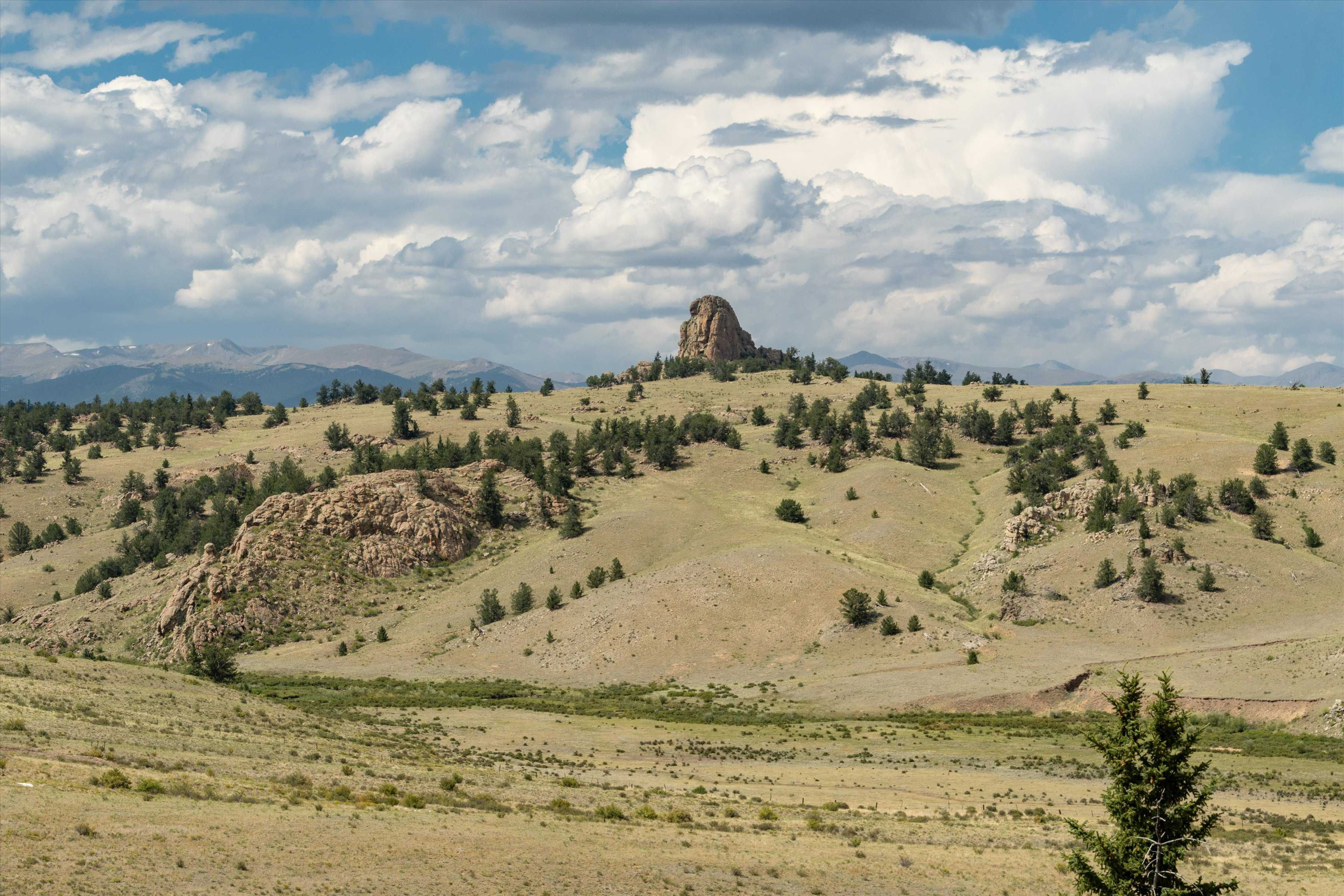 63 Welsh Cob Lane, Jefferson, CO, USA, 80456 - Thumbnail 3