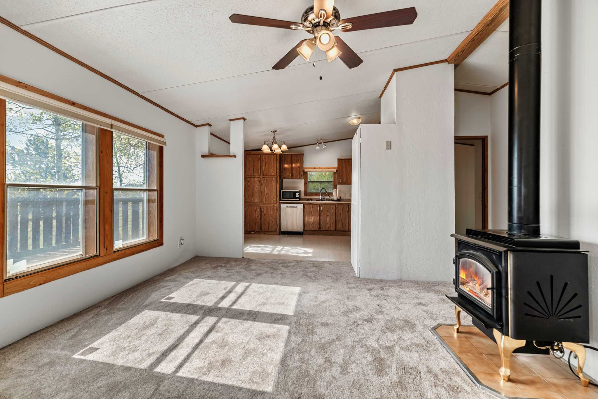 152 Wagon Wheel Road, Hartsel, CO, 80449 - Thumbnail 3