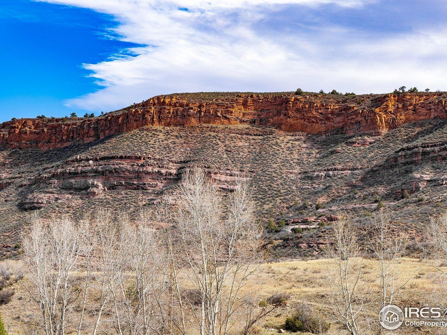 9316 Tawny Lynx Road Loveland, CO 80538 - Thumbnail 3