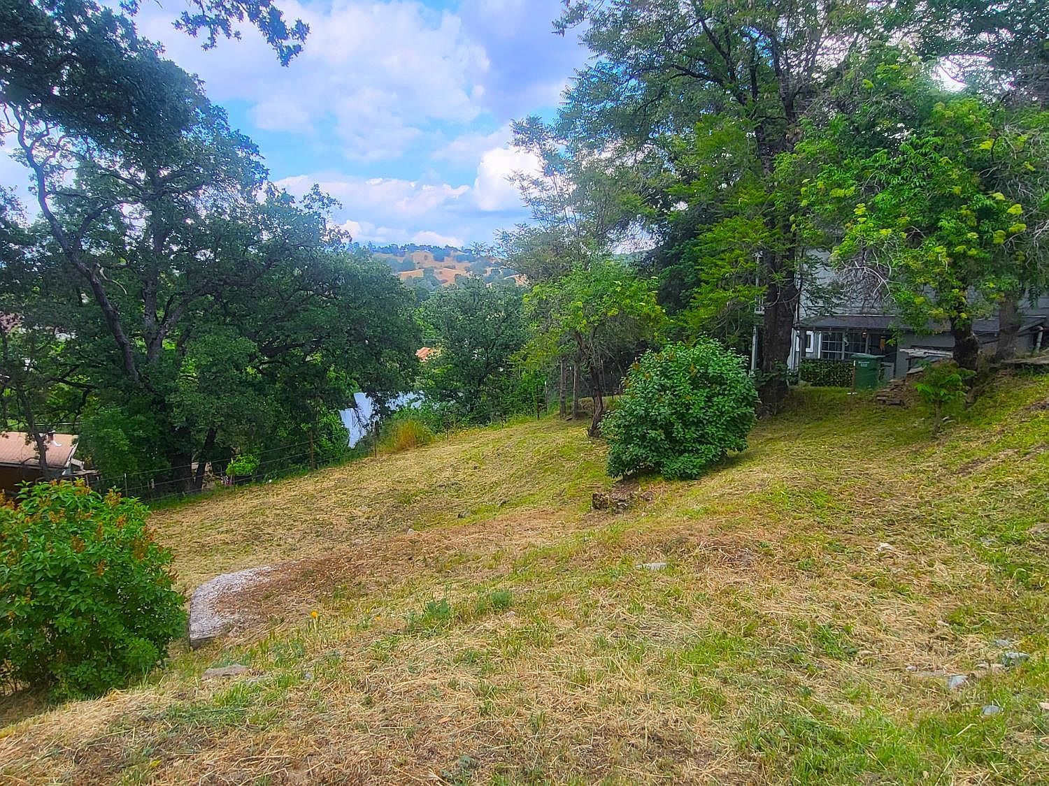 1350 Love St Angels Camp, CA 95222 - Thumbnail 3