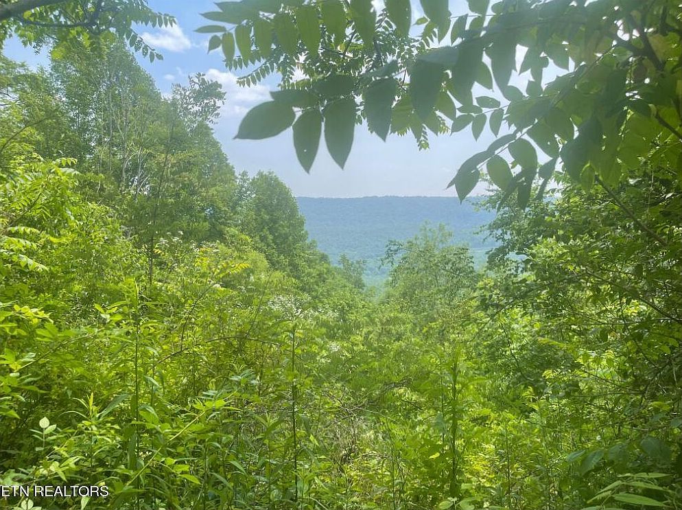 Hatfield Creek Rd Newcomb, TN 37819 - Thumbnail 3