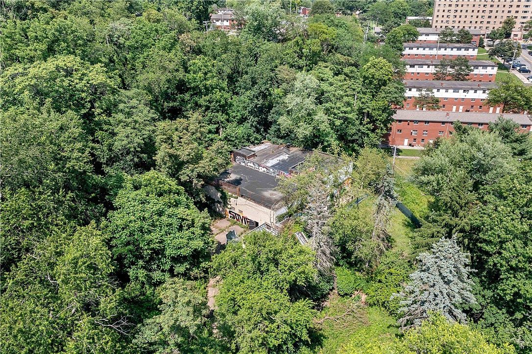 101 Hazlett St Pittsburgh, PA 15214 - Thumbnail 3