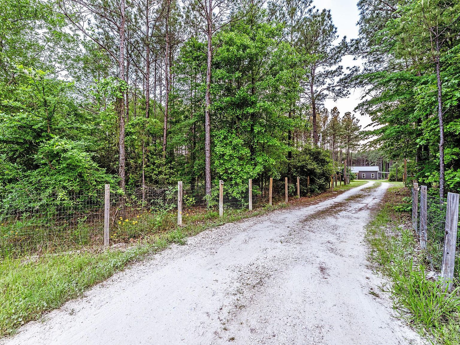 1515A Fm 247 Rd Huntsville, TX 77320 - Thumbnail 3