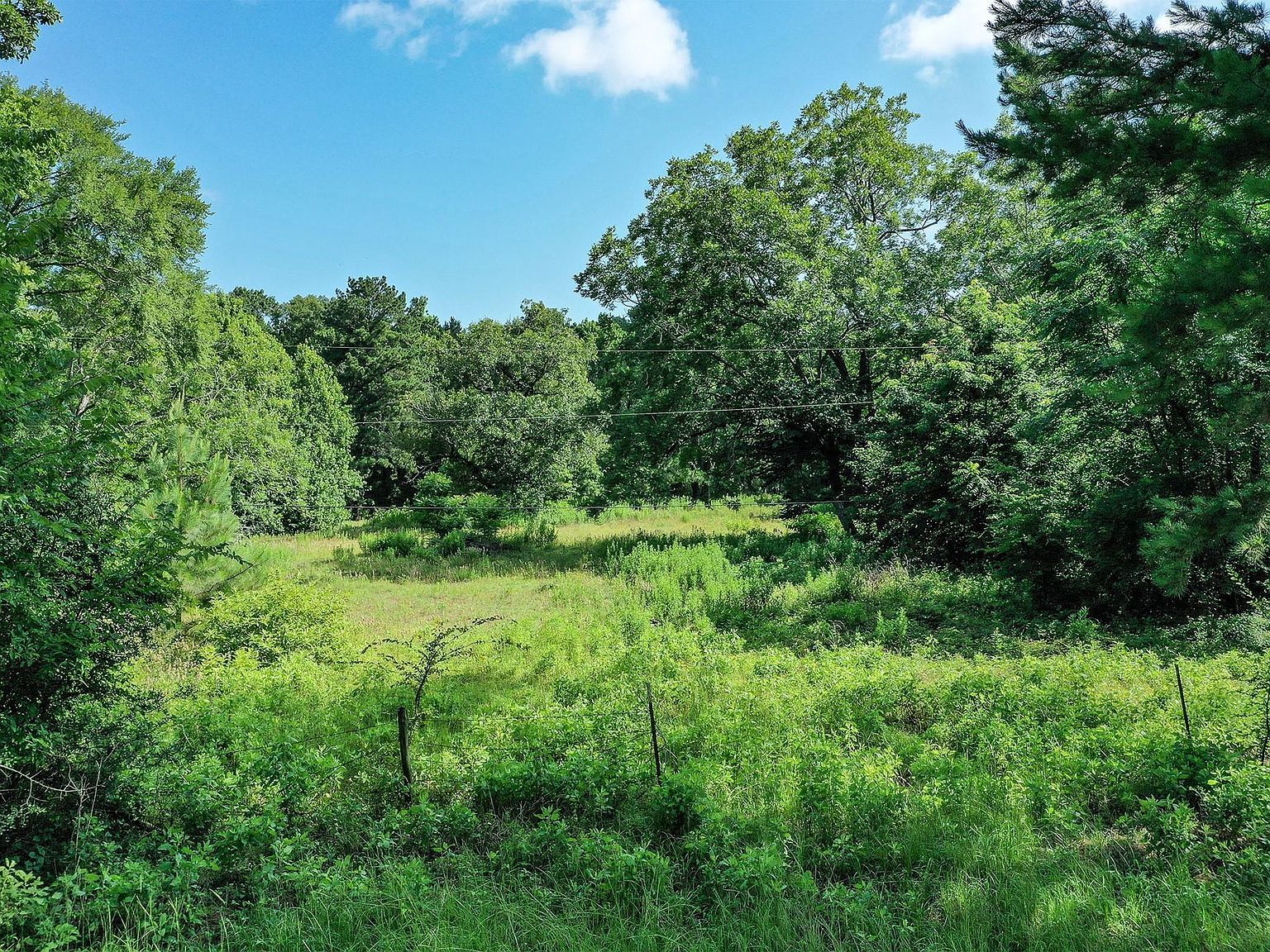 373 Johnson Rd Huntsville, TX 77320 - Thumbnail 3