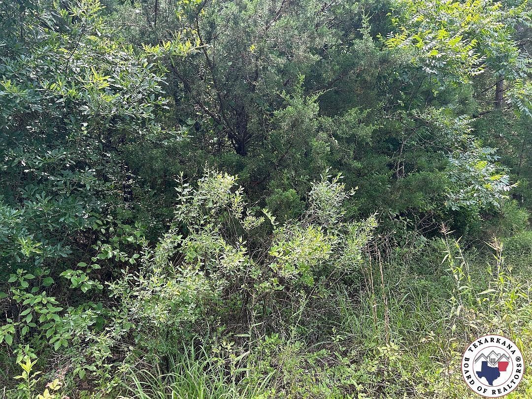 County Road 4342 Bivins, TX 75555 - Thumbnail 3