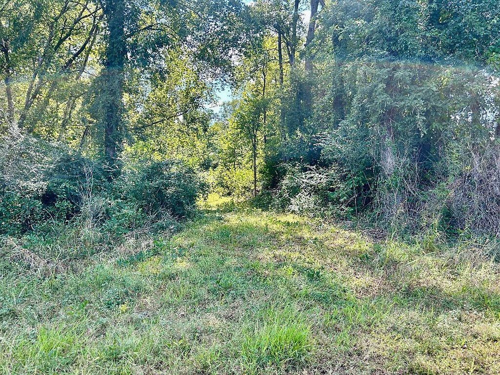 E 3rd St Atlanta, TX 75551 - Thumbnail 3