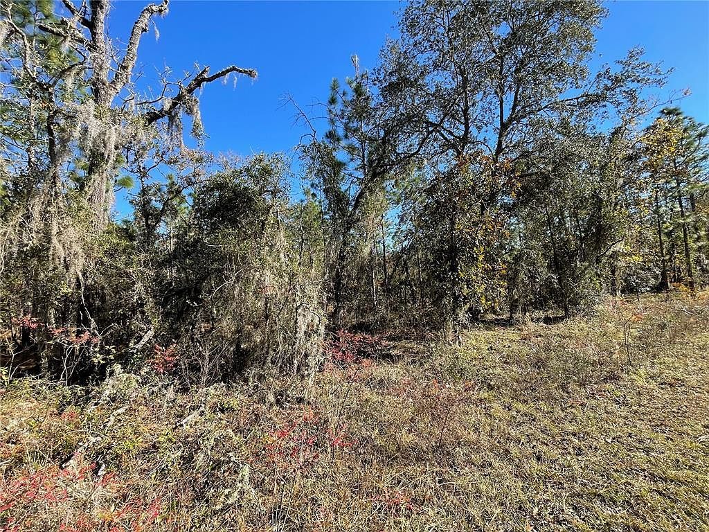 LOT 37 SE 126th Ter LOT 37 Dunnellon, FL 34431 - Thumbnail 3