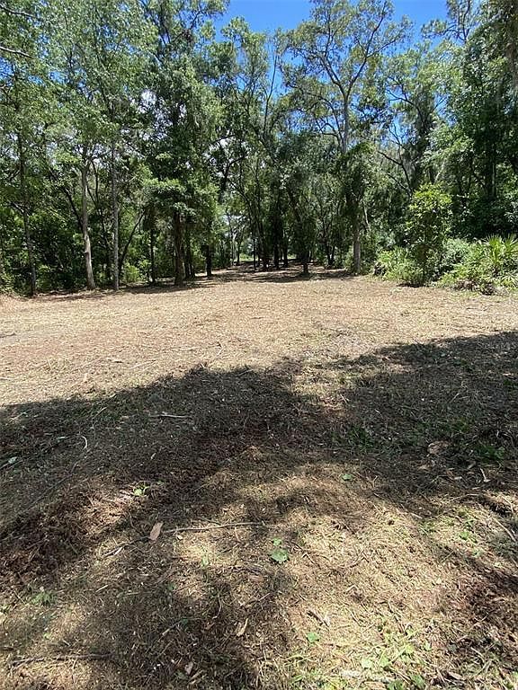 163 SW Shorewood Dr LOT 163 Dunnellon, FL 34431 - Thumbnail 3