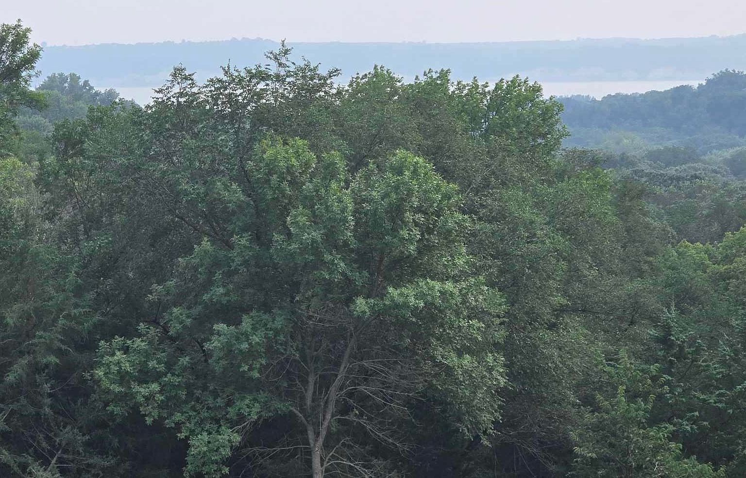 43353 311th St Yankton, SD 57078 - Thumbnail 3