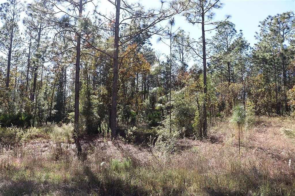 SW 131st Cir LOT 11 Ocala, FL 34481 - Thumbnail 3
