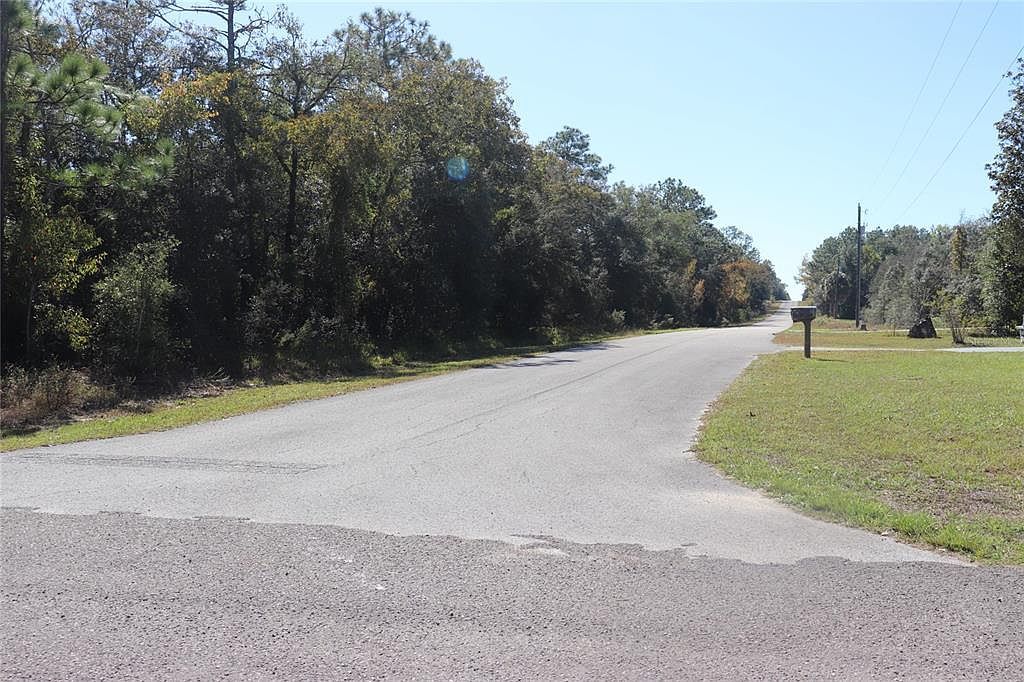 SW Indian Hill Dr LOT 15 Dunnellon, FL 34431 - Thumbnail 3