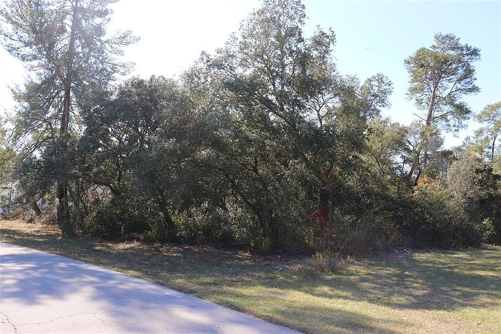 Marion Oaks Golf Rd LOT 35 Ocala, FL 34473 - Thumbnail 3
