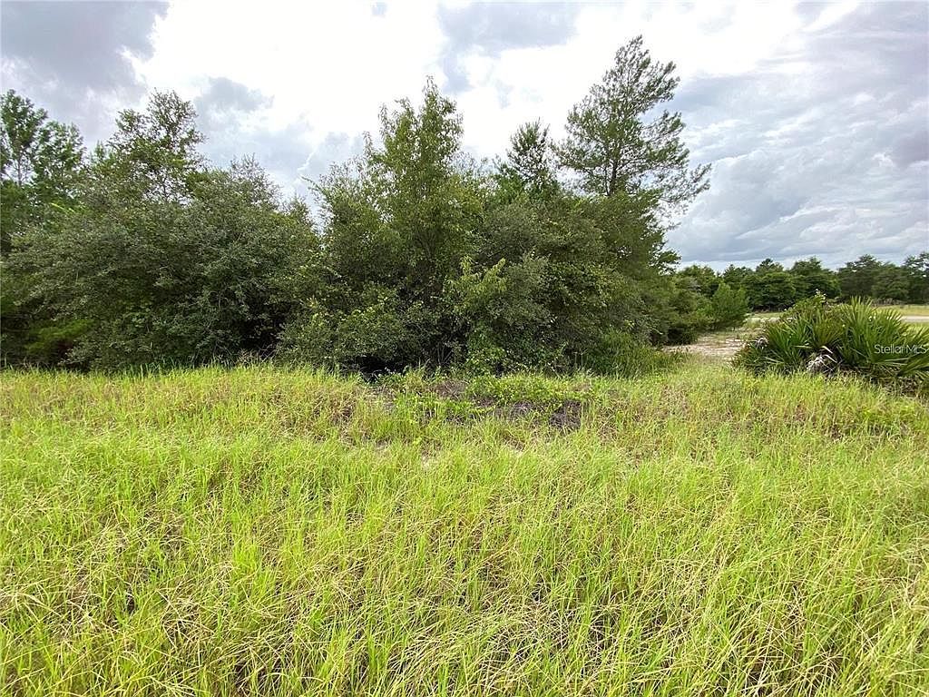 1362 Homosassa Dr #1 Kissimmee, FL 34759 - Thumbnail 3