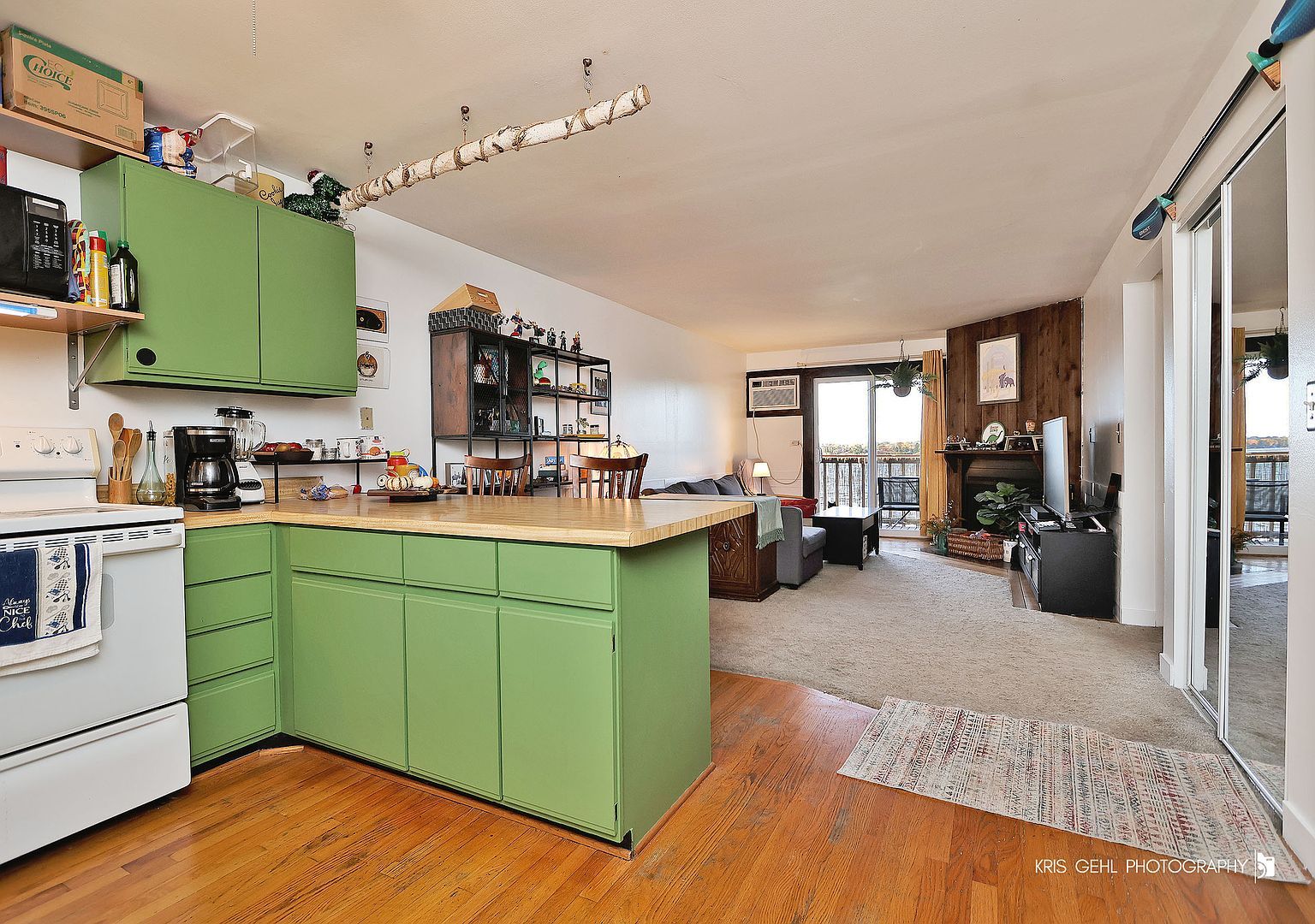 52 N Pistakee Lake Rd APT 8 Fox Lake, IL 60020 - Thumbnail 3