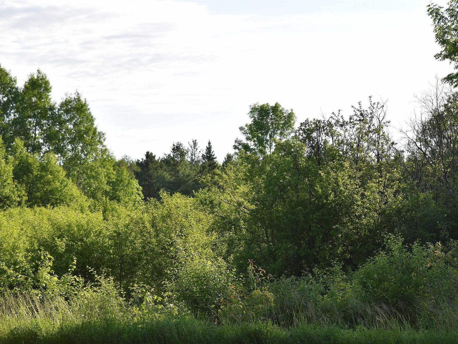 20XX Ellis Ave Ashland, WI 54806 - Thumbnail 3