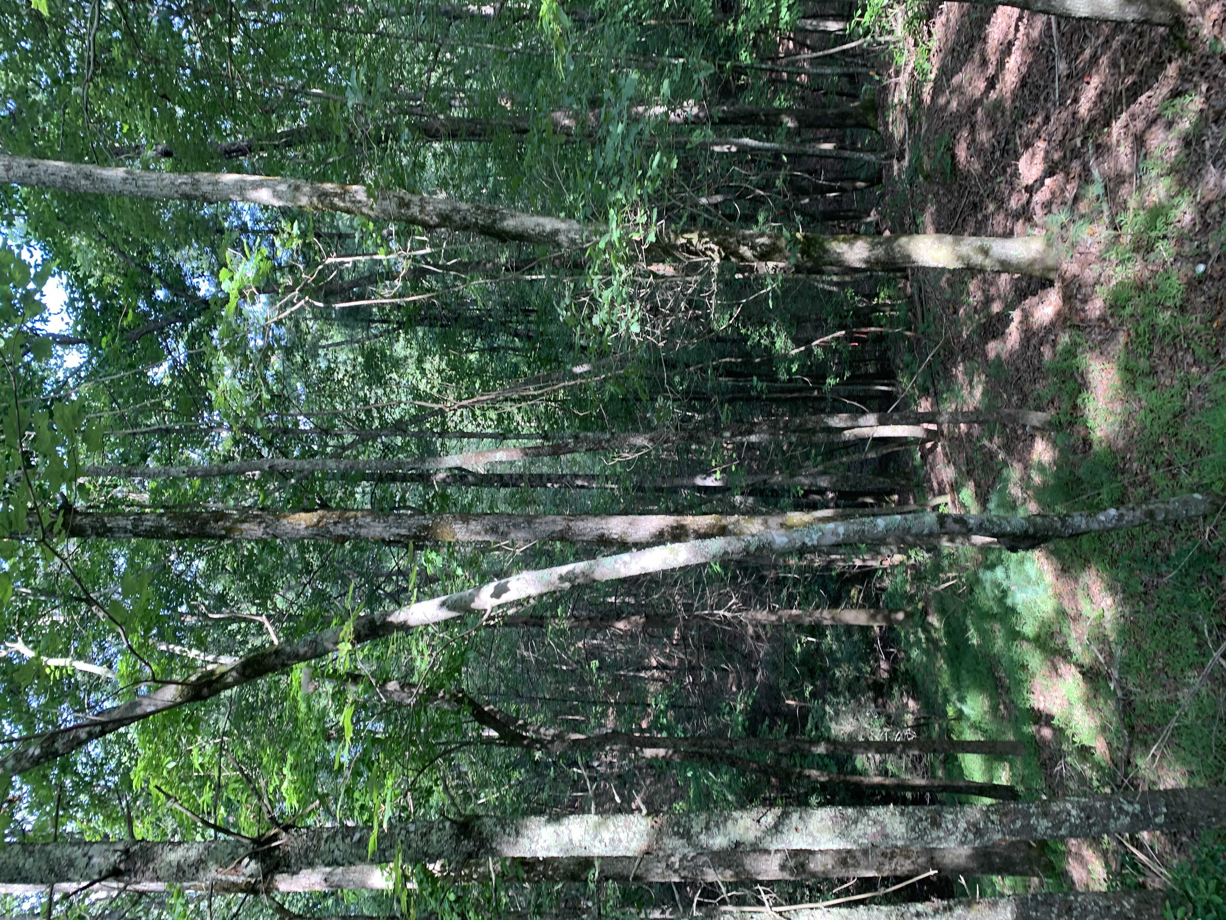 0 river bend rd # 42, Ellijay, GA, 30540 - Thumbnail 3