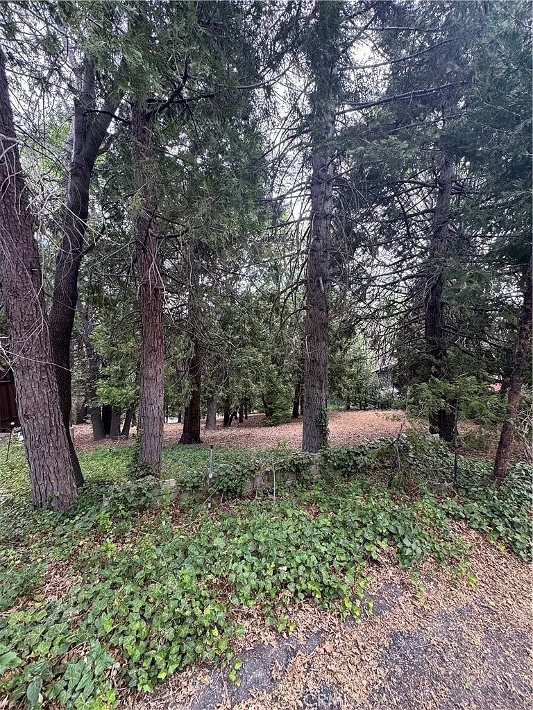 0 Cumberland Dr LOT 5 Lake Arrowhead, CA 92352 - Thumbnail 3
