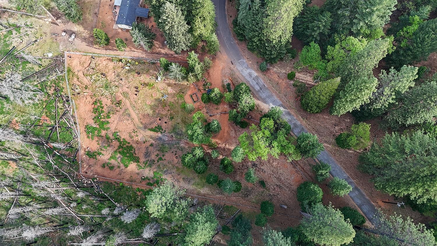 5194 Woodhaven Dr Grizzly Flats, CA 95636 - Thumbnail 3