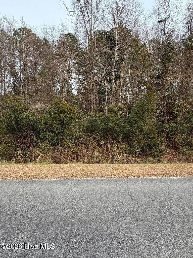 0 Joans Haven Lots 4 Dr #&-5 Newport, NC 28570 | Land/Lot