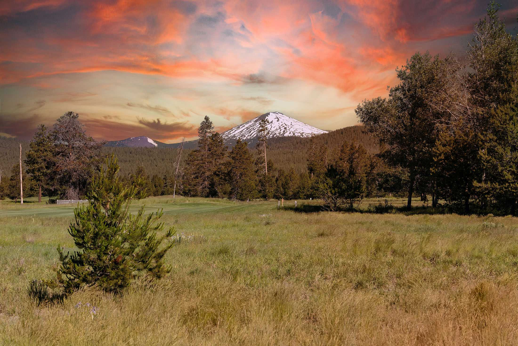 56575 Nest Pine Drive, Bend, OR, USA, 97707 - Thumbnail 3