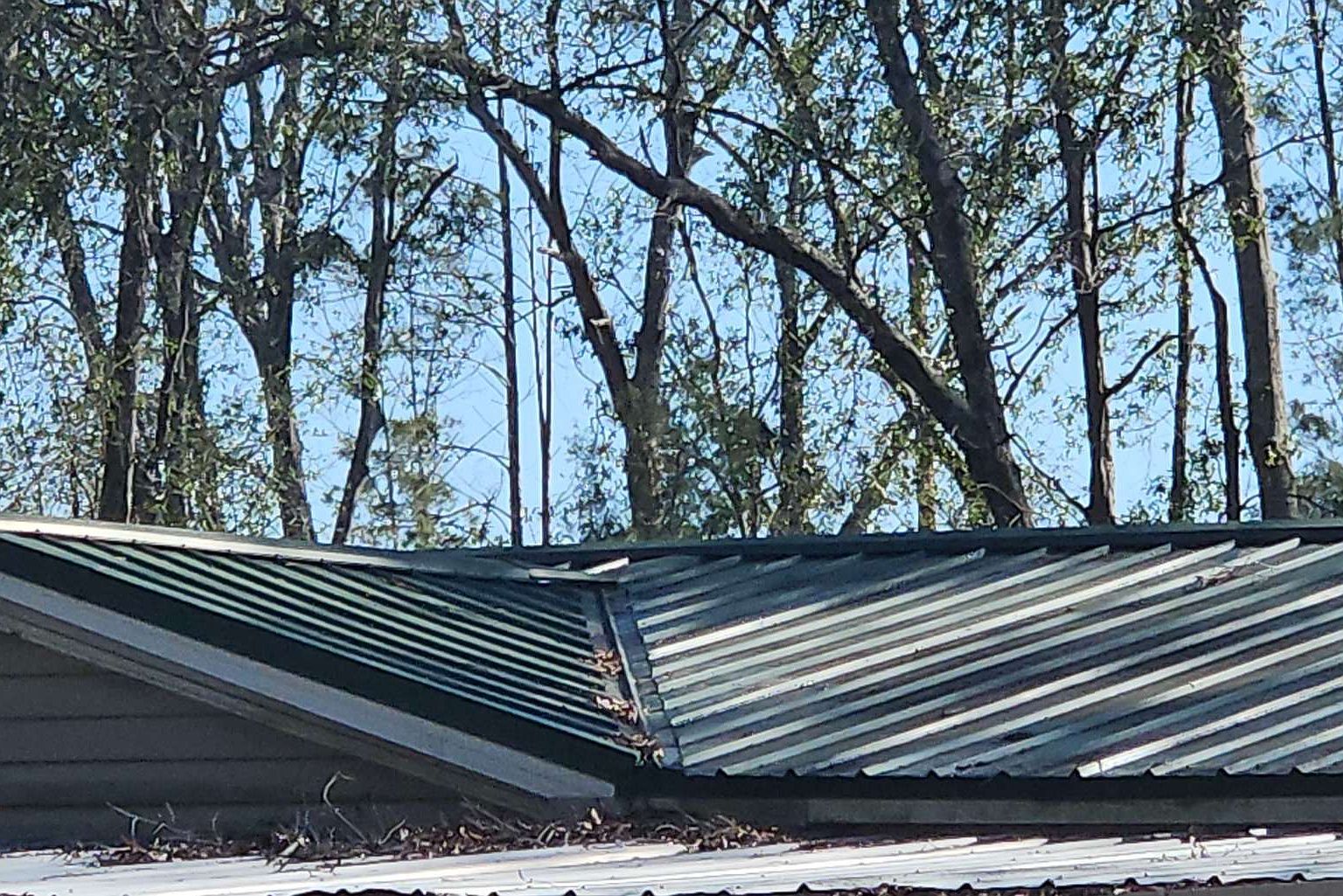 699 NE Hillside Ter Lee, FL 32059 - Thumbnail 3